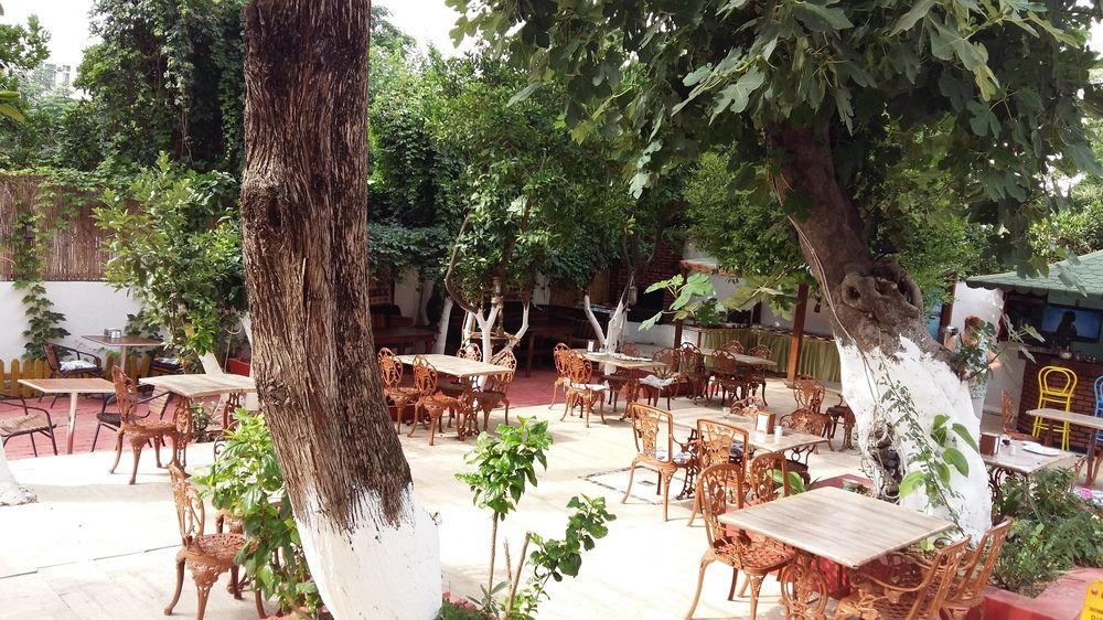 Kaliptus Hotel Kemer Eksteriør bilde